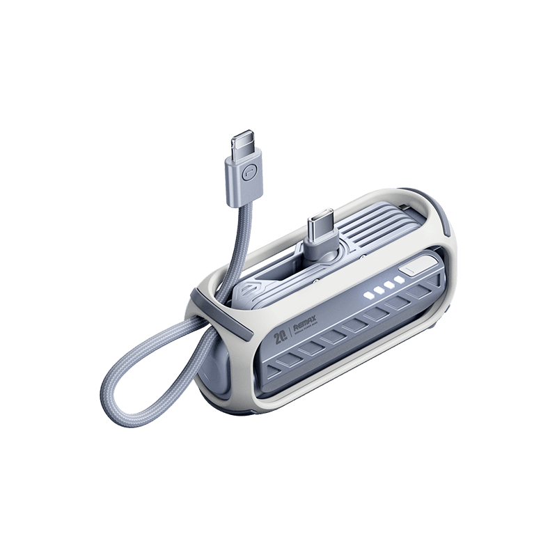 RPP-28