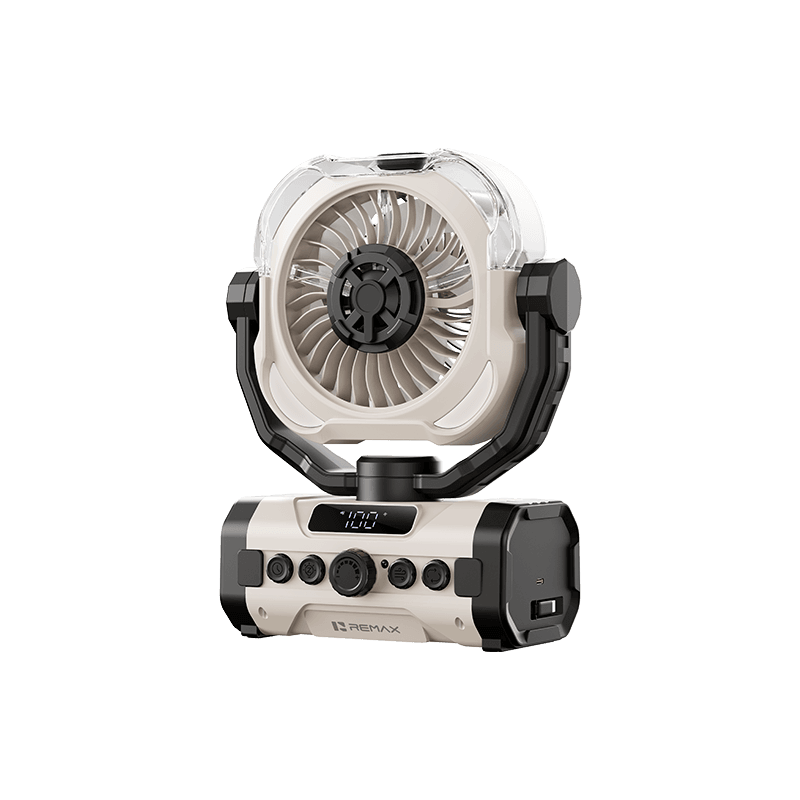 RS-ZF20
