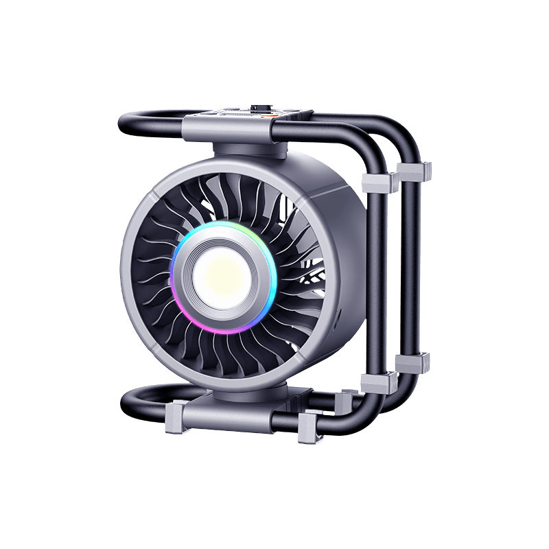 RS-ZF21