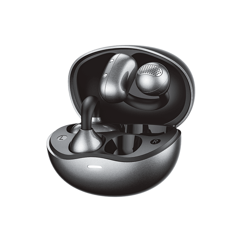 CozyBuds W29 AI